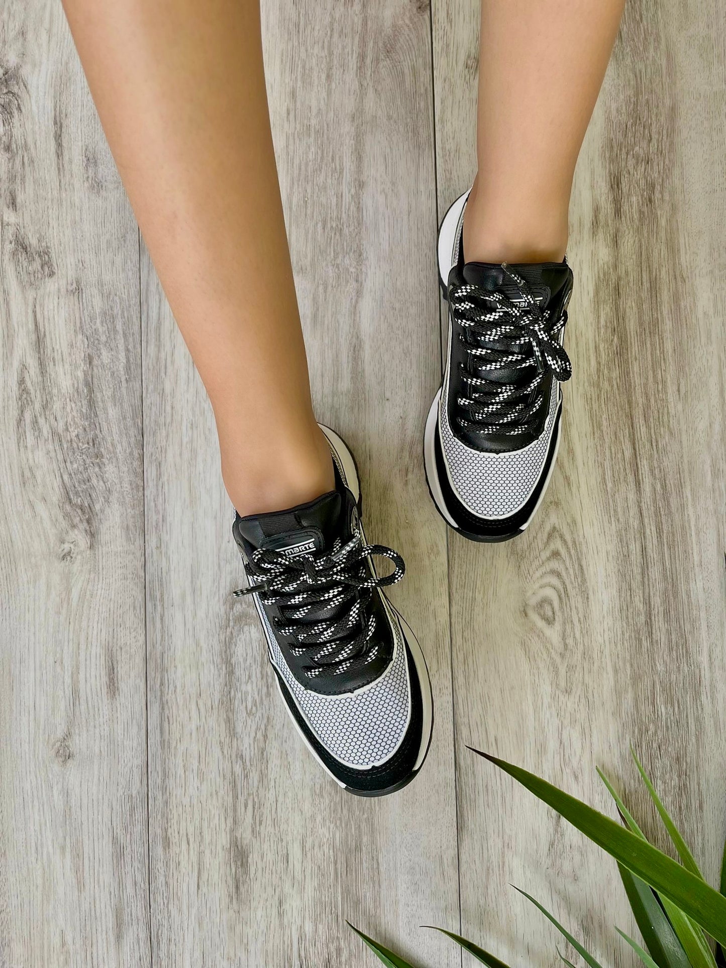 Elaia Black- 4 - Stela The Shoetique