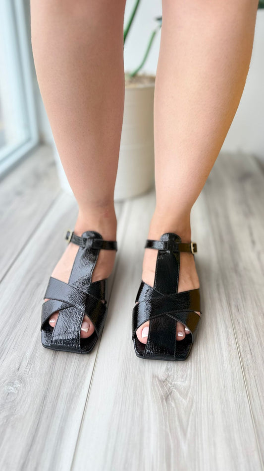 Leocadia black
