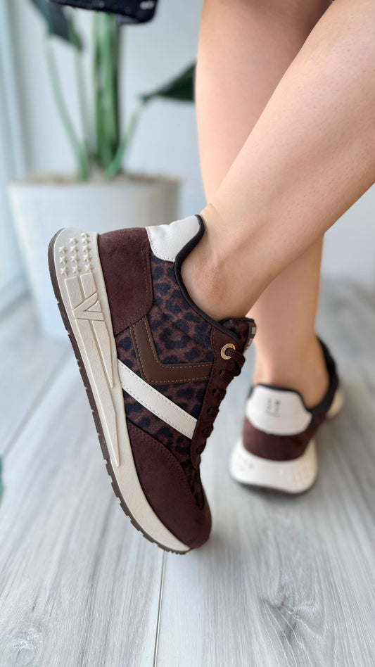 Drake dark brown sneaker