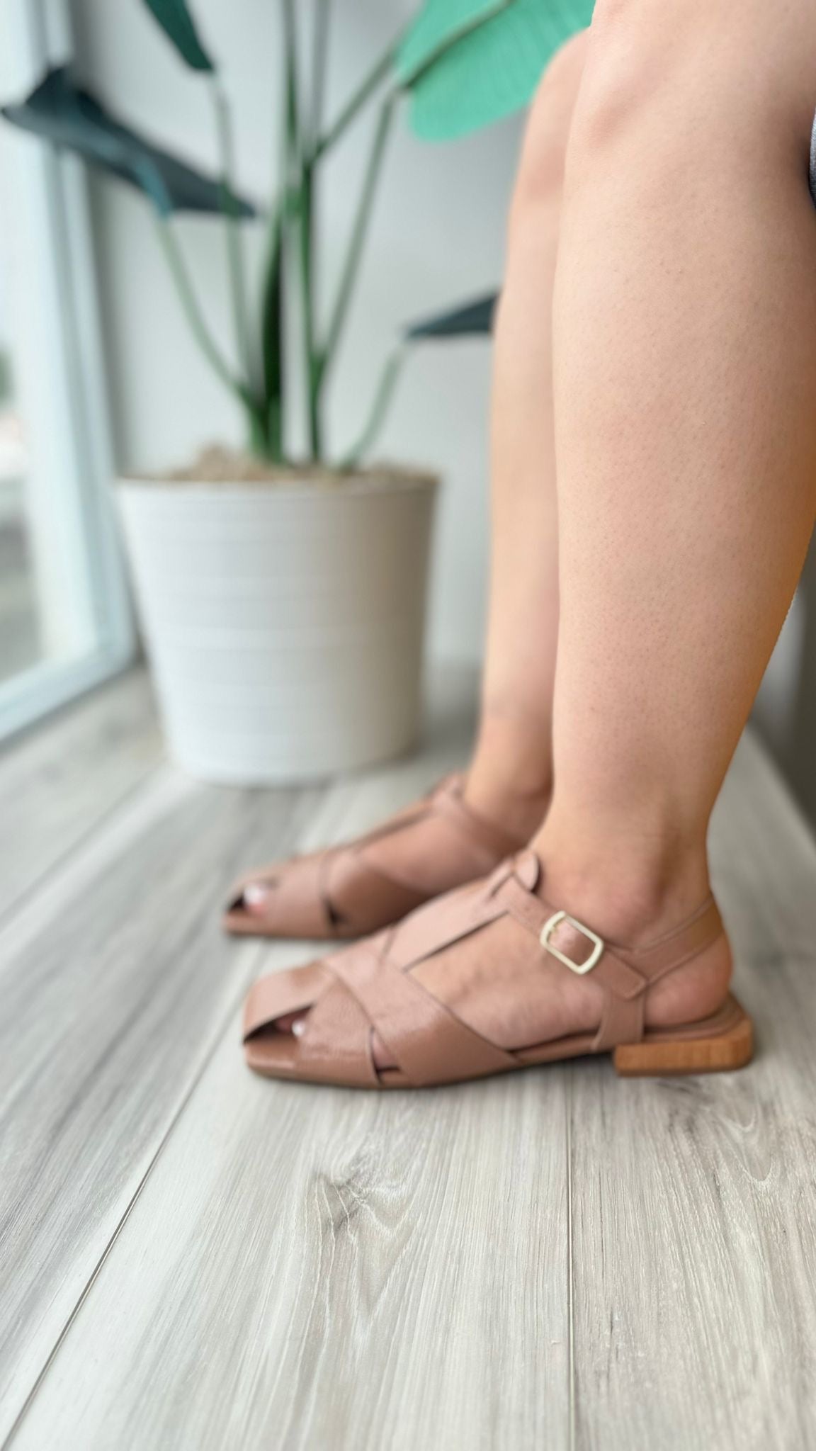 Leocadia rosado