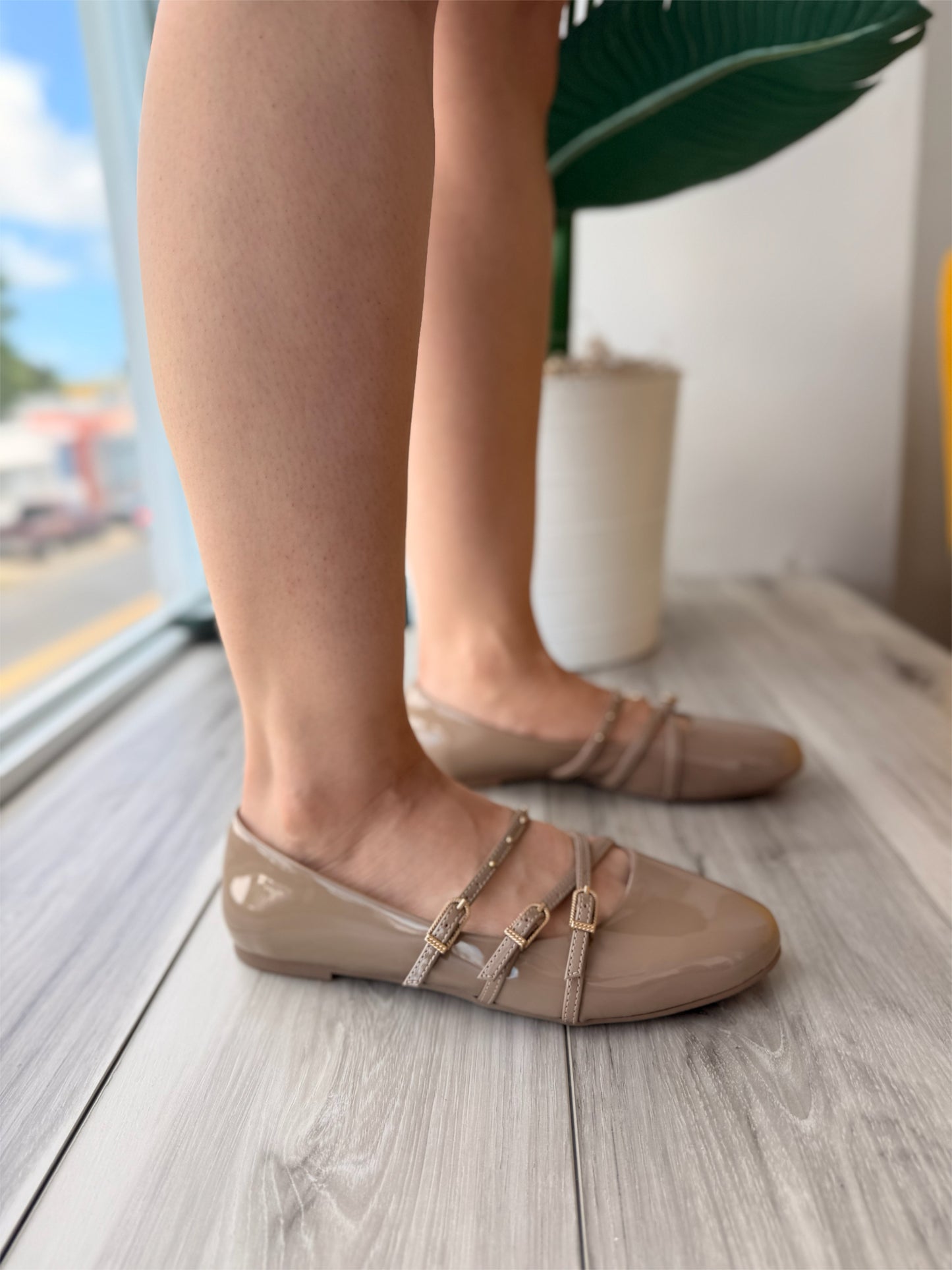 Fiorenza noz moscada