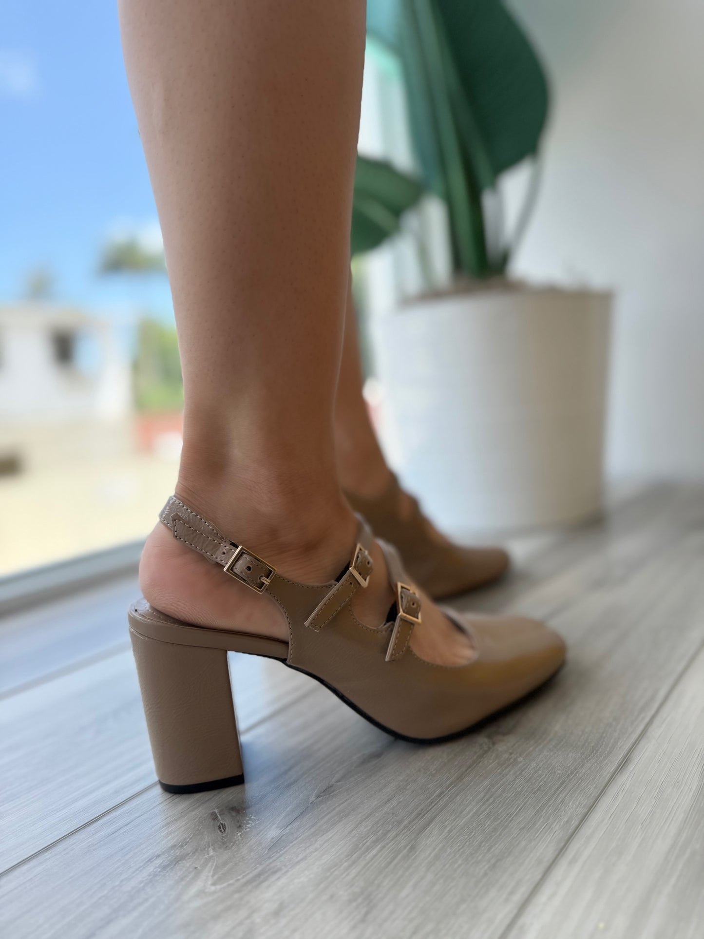 Narcisa nuez moscada