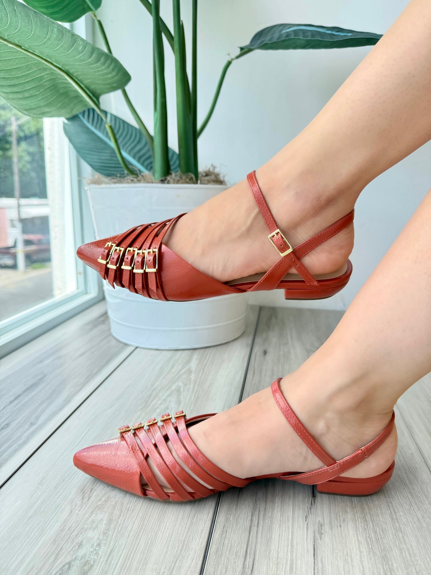 Cordova argilia - Stela The Shoetique