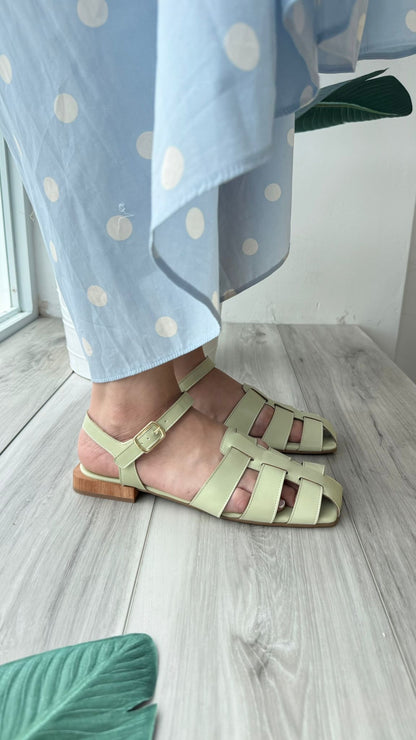 Felippa grape