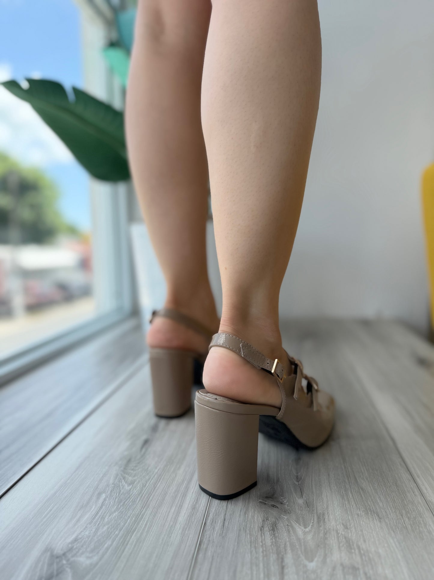 Narcisa nuez moscada