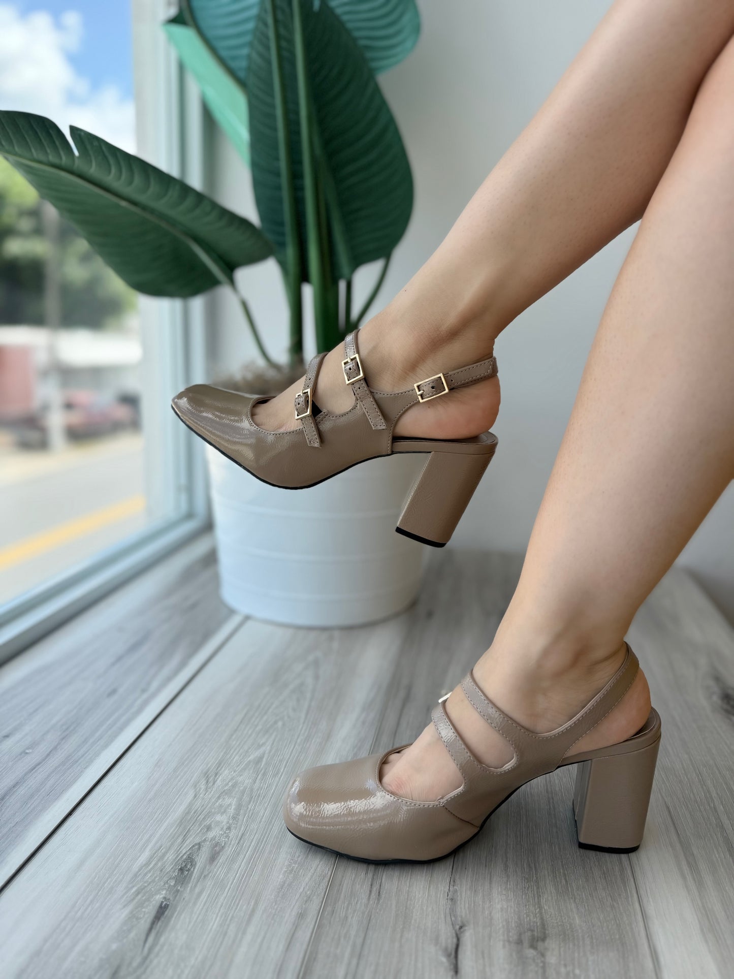 Narcisa nuez moscada