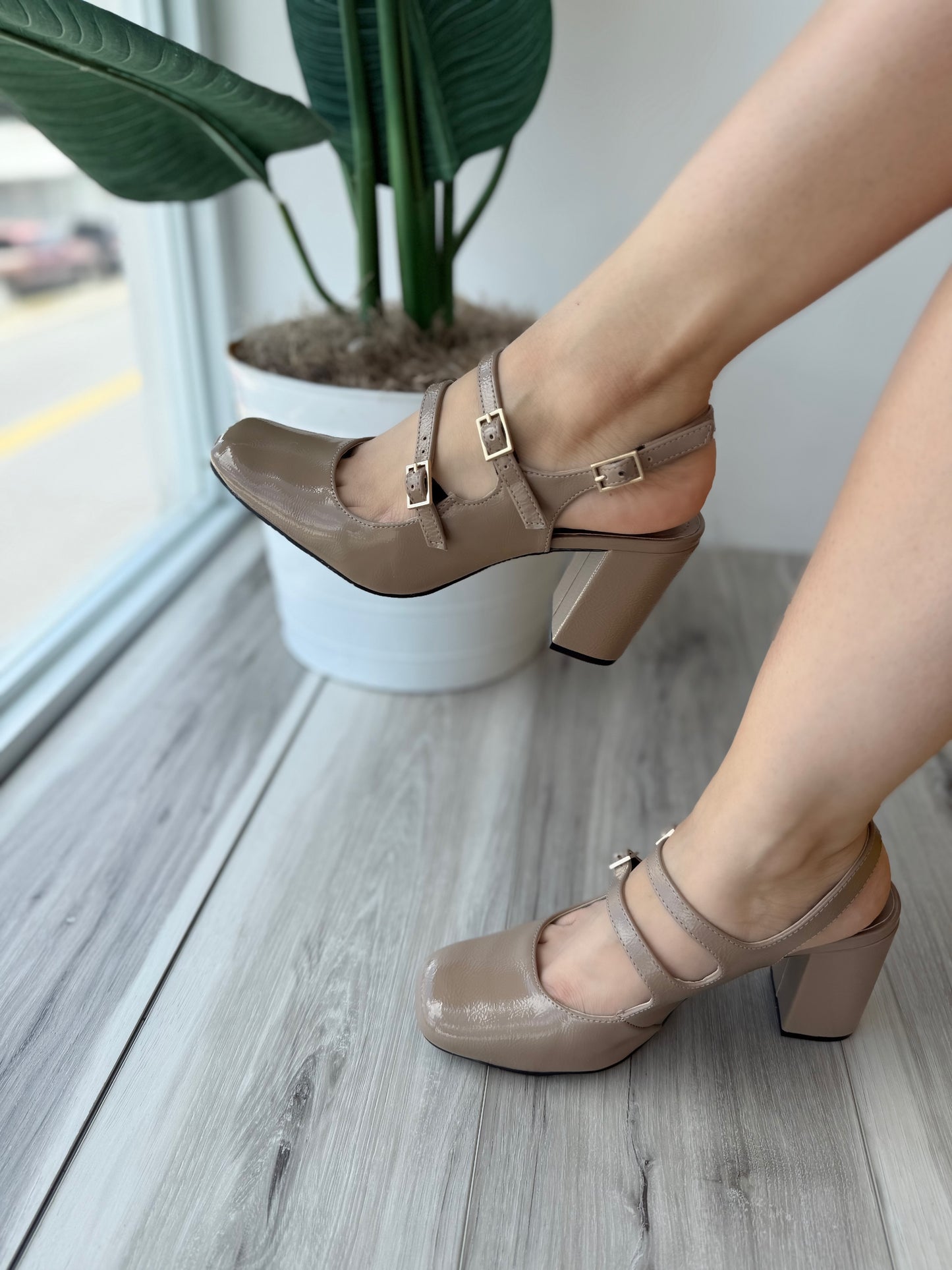 Narcisa nuez moscada