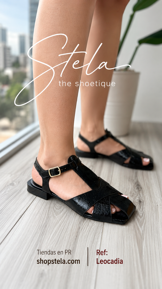 Leocadia black